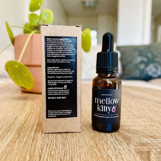 Organic pet CBD oil for cats – Mellow Kitty by Wild & Soft