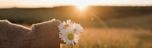 #2 New Ground