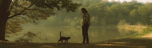 #3 The Heart of The Companions