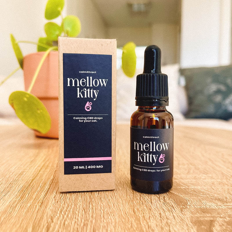 Mellow Kitty CBD oil for cats with anxiety or stress – made in South Africa