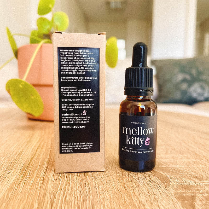 Natural pet CBD oil for cats – Mellow Kitty by Wild & Soft 