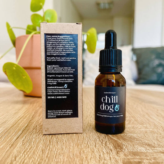 Natural calming solution for dogs in South Africa – Chill Dog pet CBD oil.