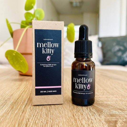 Mellow Kitty CBD oil for cats with anxiety or stress – made in South Africa